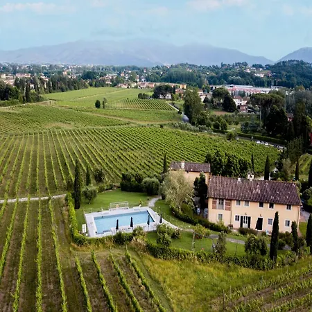 In Lucca In Wine