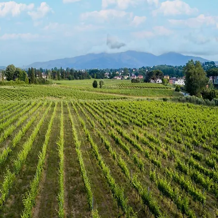 In Lucca In Wine Appartement