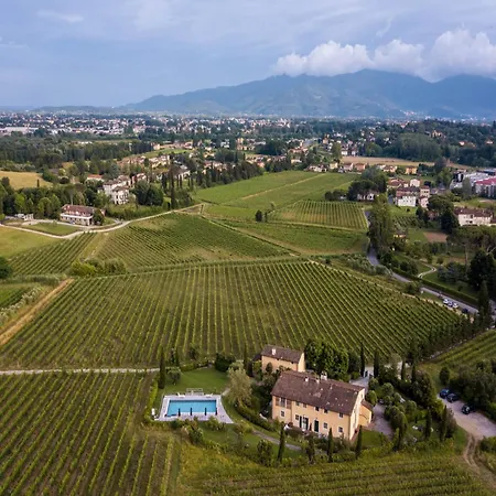 In Lucca In Wine