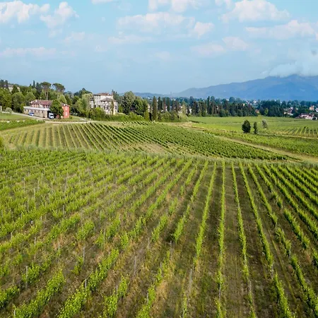 Appartement In Lucca In Wine *